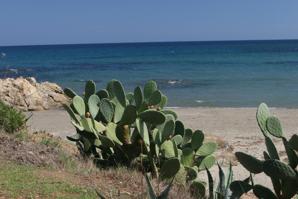 Residence Il Borgo Di Porto Corallo วิลลาปุตซู ภายนอก รูปภาพ